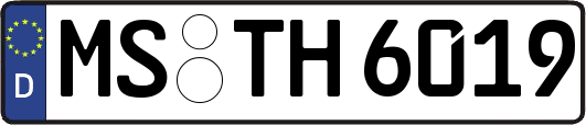 MS-TH6019