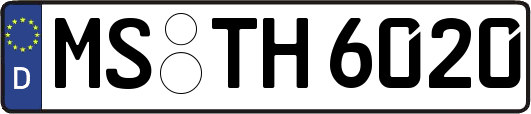 MS-TH6020