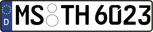 MS-TH6023