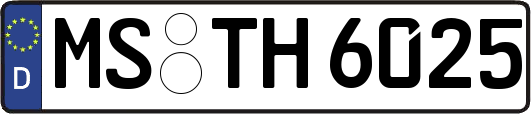 MS-TH6025