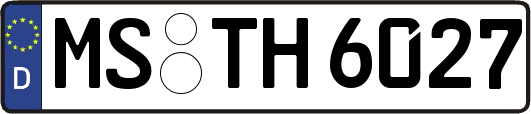 MS-TH6027