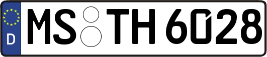 MS-TH6028