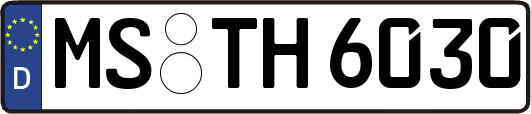 MS-TH6030