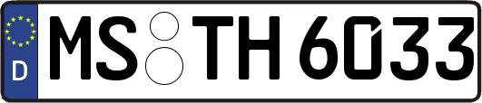 MS-TH6033