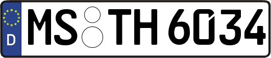 MS-TH6034