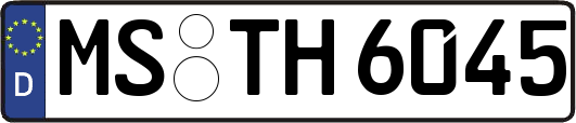 MS-TH6045