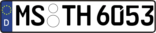MS-TH6053