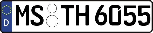 MS-TH6055