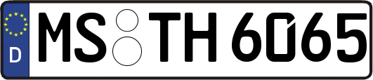 MS-TH6065