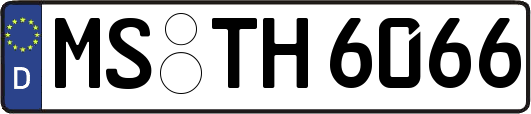 MS-TH6066