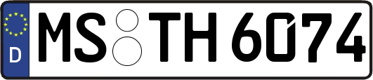 MS-TH6074
