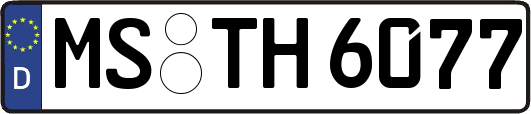 MS-TH6077