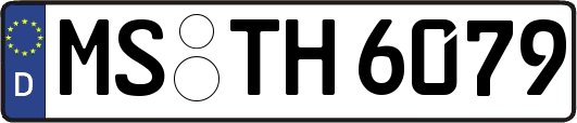 MS-TH6079
