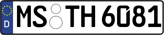 MS-TH6081