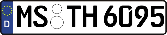 MS-TH6095