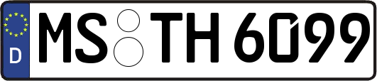 MS-TH6099