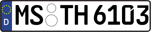 MS-TH6103