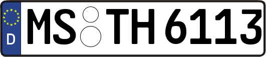 MS-TH6113