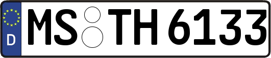 MS-TH6133