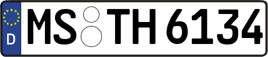 MS-TH6134