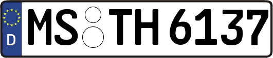 MS-TH6137