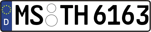 MS-TH6163