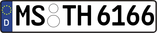 MS-TH6166