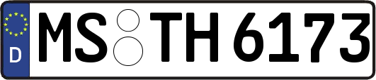 MS-TH6173