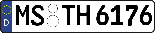 MS-TH6176