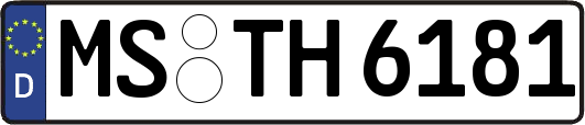 MS-TH6181