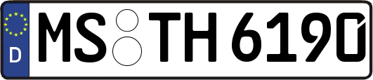 MS-TH6190