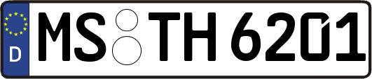 MS-TH6201