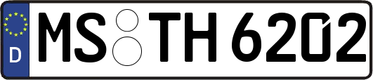 MS-TH6202