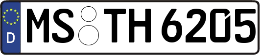MS-TH6205