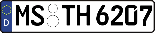 MS-TH6207