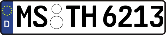 MS-TH6213