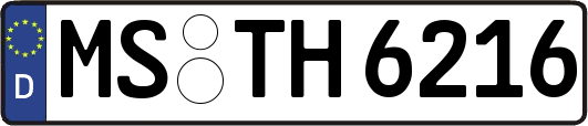 MS-TH6216
