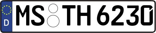 MS-TH6230