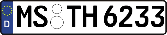 MS-TH6233