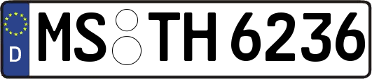 MS-TH6236