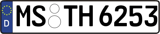 MS-TH6253