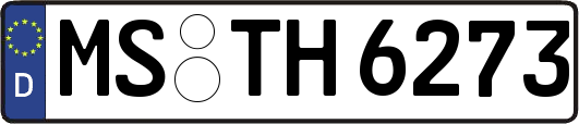 MS-TH6273