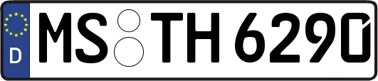 MS-TH6290