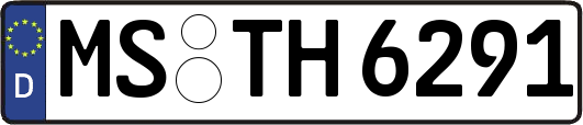 MS-TH6291