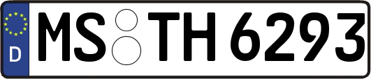 MS-TH6293