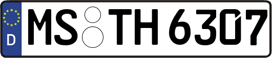 MS-TH6307