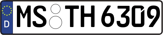 MS-TH6309