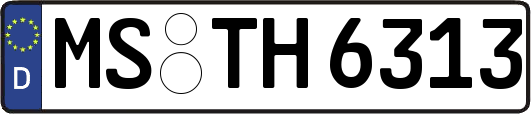 MS-TH6313
