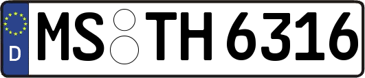 MS-TH6316