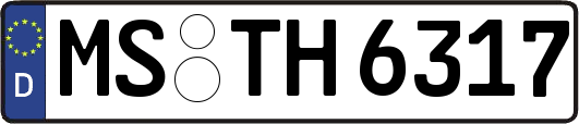 MS-TH6317
